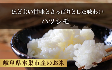 令和7年産 ハツシモ 10kg 米 こめ ごはん 白米 岐阜県産 本巣市 お米 精米 おにぎり 弁当 さっぱり 旨味 甘い 和食 寿司 岐阜県産 ヤマダライス