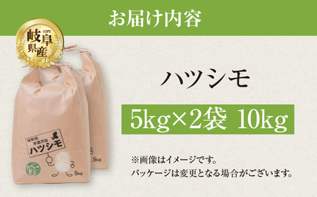 令和7年産 ハツシモ 10kg 米 こめ ごはん 白米 岐阜県産 本巣市 お米 精米 おにぎり 弁当 さっぱり 旨味 甘い 和食 寿司 岐阜県産 ヤマダライス