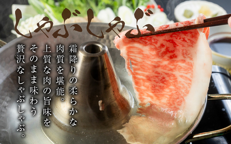 飛騨牛 すき焼き 500g すき焼き