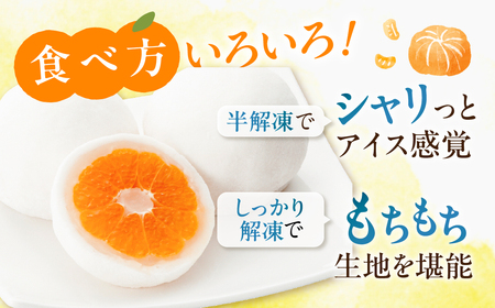 みかん 大福 4個 ×2 セット まるごと 和菓子 お菓子 菓子 おやつ カフェ スイーツ ご当地 お取り寄せ おみあげ お土産 冷凍 フルーツ 岐阜県 本巣 プレゼント ギフト 日時指定 可 [mt501]