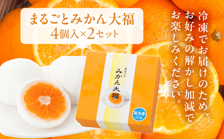 みかん 大福 4個 ×2 セット まるごと 和菓子 お菓子 菓子 おやつ カフェ スイーツ ご当地 お取り寄せ おみあげ お土産 冷凍 フルーツ 岐阜県 本巣 プレゼント ギフト 日時指定 可 [mt501]