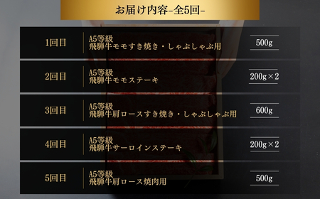 【定期便】飛騨牛三昧 定期便 5回 5ヶ月 食べ比べ A5等級 5等級 a5 牛肉 肉 和牛 国産牛 黒毛和牛 焼肉 やきにく ヤキニク 赤身 霜降り お楽しみ トキノ屋食品 本巣市 定期便 肉 お楽しみ 定期便 牛肉 [mt1729] 10万円 100000円