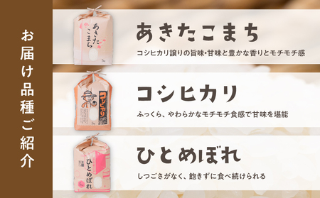 【 令和8年産 】6品種 食べ比べ定期便 5kg ×6回 6か月 計 30kg 米 こめ ごはん 白米 岐阜県産 本巣市 お米 精米 おにぎり 弁当 やわらかい もちもち 旨味 甘い 和食 寿司 アグリード 先行予約 2026年 9月下旬頃〜発送開始 新米