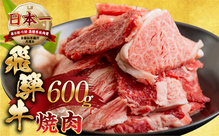  訳あり 飛騨牛 焼肉 切り落とし 600g  牛肉 肉 切落し わけあり 不揃い 小分け 冷凍 本巣市 トキノ屋 BBQ バーベキュー 人気 焼き肉