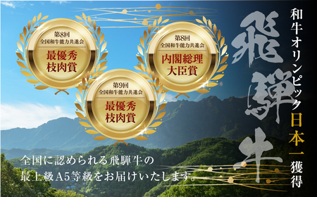  訳あり 飛騨牛 焼肉 切り落とし 600g  牛肉 肉 切落し わけあり 不揃い 小分け 冷凍 本巣市 トキノ屋 BBQ バーベキュー 人気 焼き肉