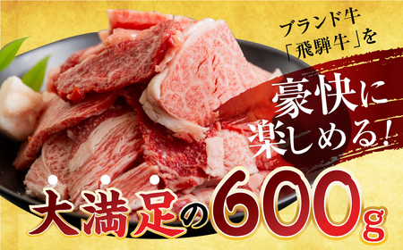  訳あり 飛騨牛 焼肉 切り落とし 600g  牛肉 肉 切落し わけあり 不揃い 小分け 冷凍 本巣市 トキノ屋 BBQ バーベキュー 人気 焼き肉