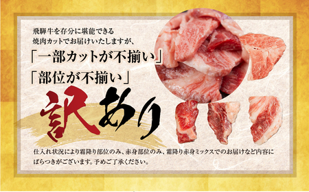  訳あり 飛騨牛 焼肉 切り落とし 600g  牛肉 肉 切落し わけあり 不揃い 小分け 冷凍 本巣市 トキノ屋 BBQ バーベキュー 人気 焼き肉
