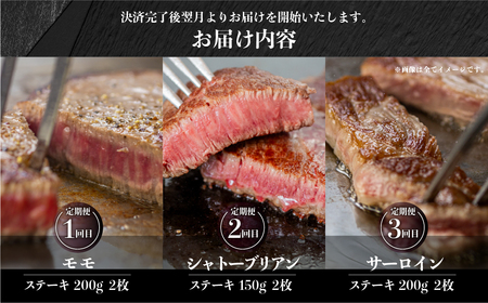 [A5等級] 飛騨牛 ステーキ 3回 定期便 | ヒレ フィレ シャトーブリアン サーロイン モモ 赤身 霜降り 牛肉 肉 和牛 牛肉 肉 冷凍 焼肉 ステーキ 本巣市 トキノ屋 食品 [mt677]