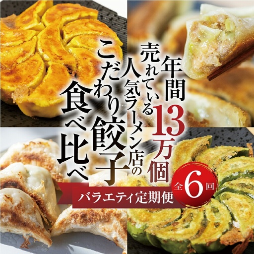 【定期便6回】餃子バラエティ 人気餃子 食べ比べ ぎふ絶品餃子 飛騨牛 餃子 もとす織部 モーニング餃子 宇宙餃子 冷凍餃子 業務用 ぎょうざ ギョウザ 冷凍 グルメ お取り寄せ グルメ 冷凍食品 国産素材 肉 牛肉 豚肉 ジューシー もちもち [mt1862]