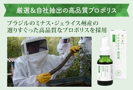 [ 3ヶ月 定期便 ] プロポリスA抽出液 30ml × 3回 液体 健康 ミツバチ フラボノイド アルテピリン フェノール酸類 ミネラル 貴重 自然 厳選 高品質 秋田屋本店