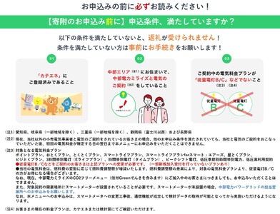 本巣市産 CO2 フリーでんき 100,000円コース(電気代実質マイナス25,000円)(注:お申込み前に申込条件を必ずご確認ください)中部電力ミライズ 電気 電力 中電 中部電力 中部 電気代 電気料金 岐阜県 愛知県 三重県 静岡県 長野県 ふるさと でんき【会員限定のお礼の品】