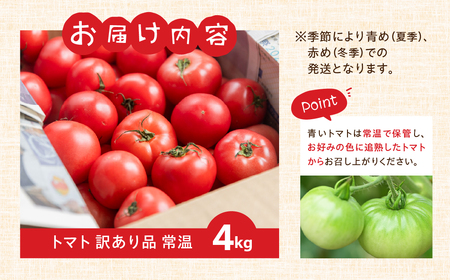 【2026年10月～発送】大容量 トマト 4kg 訳あり トマト ポットファクトリー