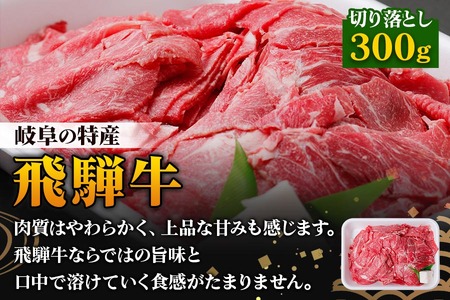 飛騨牛と美濃ヘルシーポーク 切り落としセット(計1.5kg) [1176]