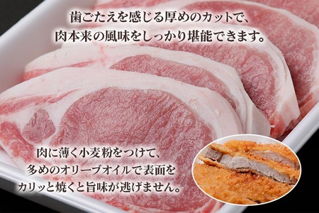 美濃ヘルシーポーク 豚ローステキ・カツ用 [0137]