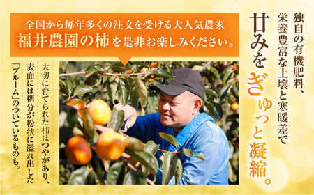 【年内発送／令和6年産】《 訳あり 》 富有柿 ご家庭用 3kg M,L,2Lサイズ 福井農園 [11月上旬～12月上旬に発送予定] ｜富有柿 ふゆうがき フルーツ 柿 かき 規格外 わけあり 不揃い ふぞろい ご自宅用 果物 くだもの 岐阜県 本巣市  訳あり OR FN-SupportProject OR 増量 OR 年末企画  訳あり OR FN-SupportProject OR 増量 OR 年末企画