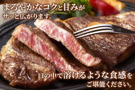 高級和牛をステーキで！[A5等級]飛騨牛サーロインステーキ用 400g(200g×2枚) [0162] 肉 牛肉 飛騨牛 冷凍 和牛 黒毛和牛 ステーキ 霜降り 