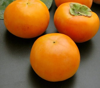 [先行予約]《柿の王様》 加藤果樹園 の富有柿Lサイズ14個入り 11月中旬～12月上旬発送予定 [1039]