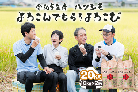 令和5年産 岐阜県産新米 ハツシモ20kg【よろこんでもらうよろこび