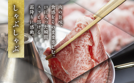 [A5等級] 飛騨牛肩ロースすき焼き・しゃぶしゃぶ用500g [mt647] 肉 牛肉 和牛 国産牛 飛騨牛 すき焼き すきやき スキヤキ しゃぶしゃぶ  すき焼き 