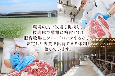 [A5等級] 飛騨牛バラカルビ焼肉用1kg [0843]