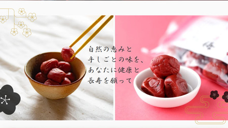 郡上延年梅シリーズ４点セット