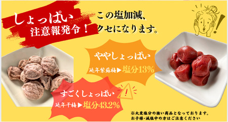 郡上延年梅シリーズ４点セット