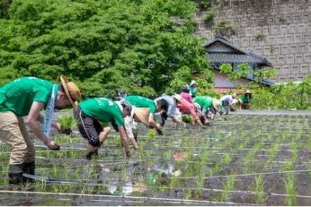 新・発酵飲料　はだ恵り