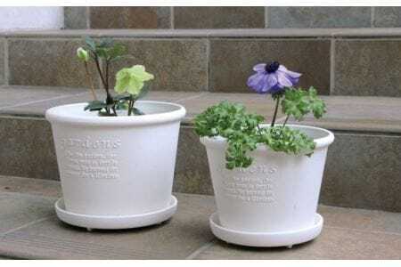 浅型ポット＆プレート　3サイズ6点セット(ホワイト)