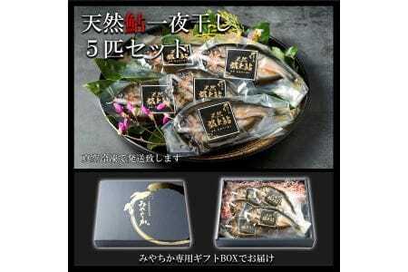 天然鮎専門店みやちかの【天然鮎一夜干し】長良川郡上鮎　5匹
