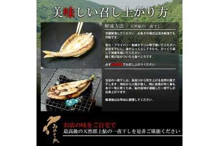 天然鮎専門店みやちかの【天然鮎一夜干し】長良川郡上鮎　5匹