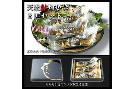 天然鮎専門店みやちかの【天然鮎塩焼き】長良川郡上鮎　3匹