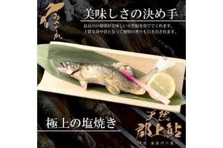 天然鮎専門店みやちかの【天然鮎塩焼き】長良川郡上鮎　3匹