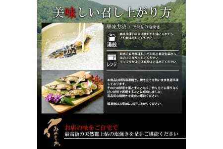 天然鮎専門店みやちかの【天然鮎塩焼き】長良川郡上鮎　3匹