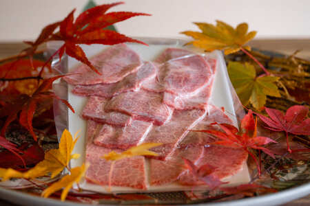 【5等級・飛騨牛】ミスジ120g　焼き肉 焼肉 やきにく 牛肉