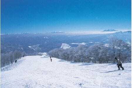 郡上市内スキー場リフト1日券（1枚）