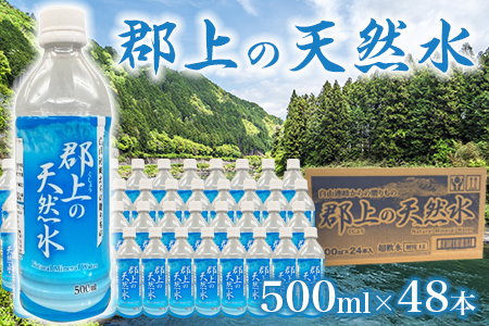 郡上の天然水 500ml×24本×2箱