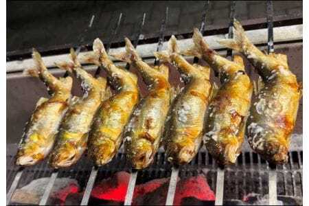 【先行予約】和良鮎(冷凍大きめサイズ7~8匹入り)