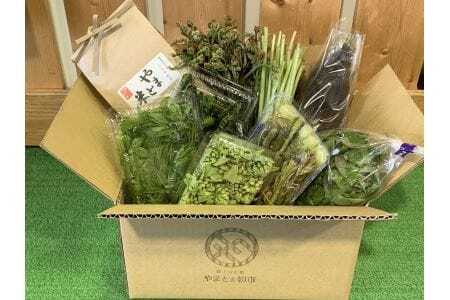 【野菜の定期便・年3回】 現地直送！新鮮な季節のお野菜とお米のセット 米 野菜 米 白米 米