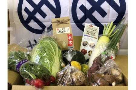 【野菜の定期便・年3回】 現地直送！新鮮な季節のお野菜とお米のセット 米 野菜 米 白米 米