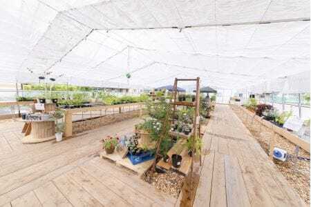 【野菜の定期便・年3回】 現地直送！新鮮な季節のお野菜とお米のセット 米 野菜 米 白米 米