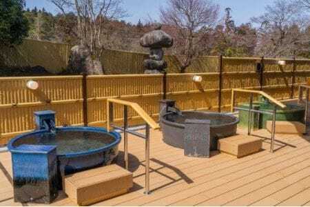 【有効期限なし！】美人の湯しろとり かみほの湯　温泉入館回数券 10回×1冊　フィンランドサウナ