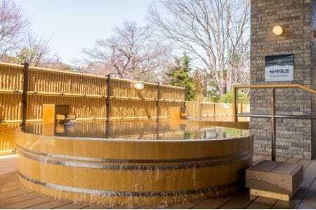 【有効期限なし！】美人の湯しろとり かみほの湯　温泉入館回数券 10回×1冊　フィンランドサウナ