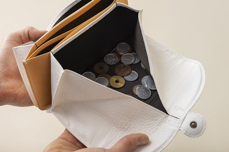 RIPS（革のカシミヤ 郡上市産明宝鹿革レディース財布）ルージュ