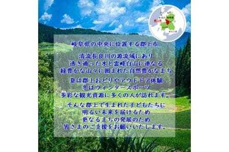 岐阜県郡上市【返礼品なしの応援寄附】1口：1,000円