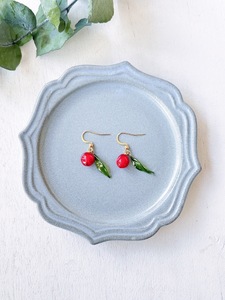 本物の郡上南天を閉じ込めたピアス・イヤリングB