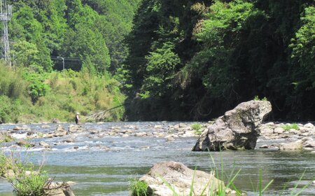 予約受付【令和6年】(減免対象者限定)「馬瀬川下流」鮎友釣年釣券 1枚 あゆ 年券 アユ 年釣り 2024年【26-6】