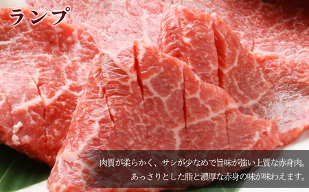 A5飛騨牛 ランプ焼肉 570g【冷凍】焼き肉用 【11-1021】