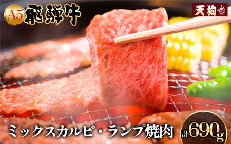 A5飛騨牛 ミックスカルビ・ランプ焼肉 690g（345g×2）【冷凍】飛騨牛【11-1022】