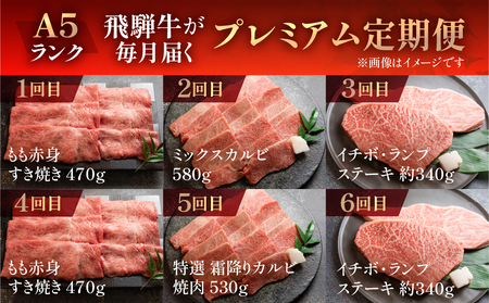 【定期便 12回】 A5 飛騨牛 天狗 牛肉 (ステーキ / 焼き肉 / すき焼き /希少部位 赤身 / 霜降り) 【11-O】