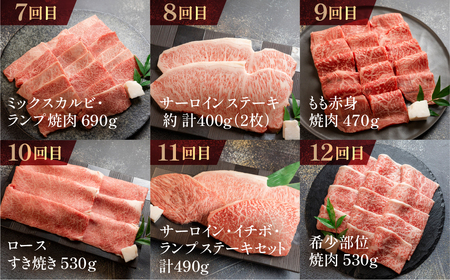 【定期便 12回】 A5 飛騨牛 天狗 牛肉 (ステーキ / 焼き肉 / すき焼き /希少部位 赤身 / 霜降り) 【11-O】